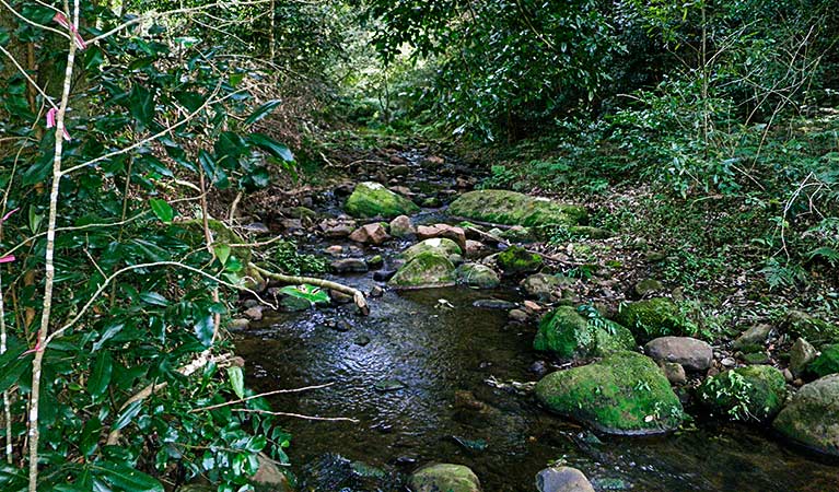 Macquarie Pass NSW Accommodation QLD