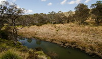 Werrikimbe National Park - Accommodation Tasmania