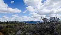 Barren Grounds Nature Reserve - Lightning Ridge Tourism