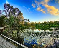 Berrinba Wetlands - Accommodation Australia