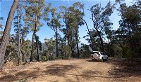 Wadbilliga Road drive - Accommodation Tasmania