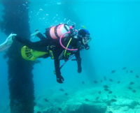 Shellharbour Scuba  Photography Centre - Accommodation Bookings