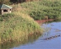 Spring Creek Wetlands Walk - Yamba Accommodation
