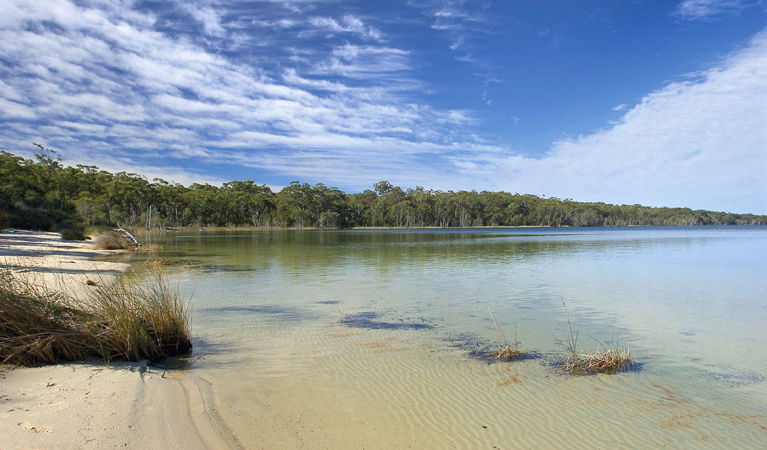  Attractions Brisbane