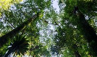 Botanic walk - Accommodation Kalgoorlie