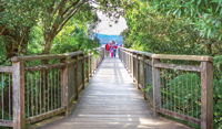 Skywalk lookout - Accommodation Bookings