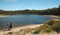 Nerindillah Lagoon walking track - Australia Accommodation
