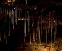 Tamborine Mountain Glow Worm Caves - QLD Tourism
