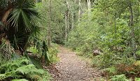 Lake walking track - Gold Coast Attractions
