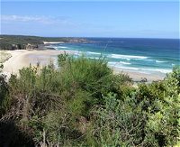 South Pacific Heathland Reserve - Accommodation Newcastle