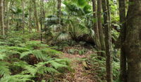 Durras Lake Discovery trail - Gold Coast Attractions
