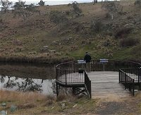 Bombala Platypus Reserve - Find Attractions