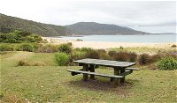 Depot Beach picnic area - QLD Tourism