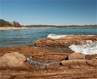 Shelly Beach Picnic Area - Moruya Heads - Attractions Melbourne
