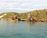 Tangalooma Wrecks Dive Site - Accommodation BNB