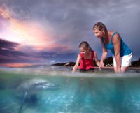 Tangalooma Dolphin Feeding - New South Wales Tourism 
