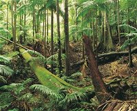 Wollumbin-Mount Warning National Park - Attractions