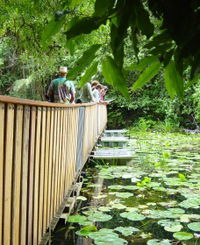 Rocky Creek Dam - Accommodation Mount Tamborine