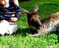 Bunbury Wildlife Park - Surfers Gold Coast