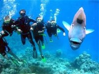 Henderson's Rock Dive Site - Broome Tourism