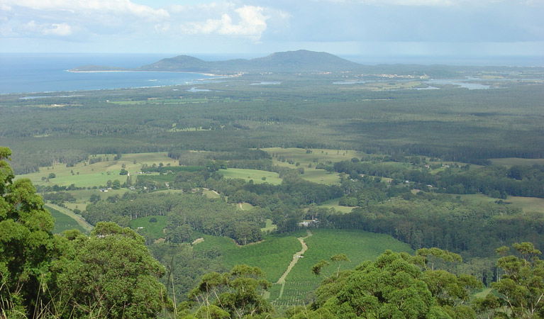 Way Way NSW Tourism Cairns