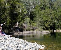 Mount Boss State Forest - Accommodation Cooktown