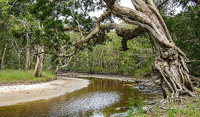 Saltwater National Park - Accommodation Noosa