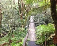 Bemm River Scenic Reserve - Attractions Brisbane