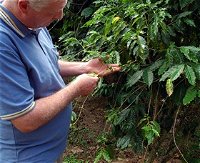 Wombah Coffee Plantation - Attractions Perth