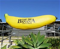 The Big Banana - Accommodation Redcliffe