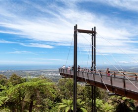 Forest Sky Pier - Gold Coast Attractions