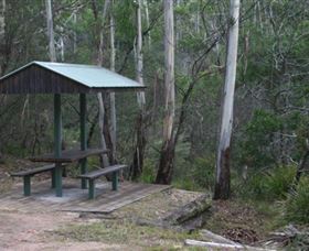  Accommodation Daintree