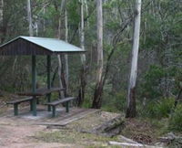 White Rock River picnic area - QLD Tourism
