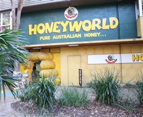 Superbee Honeyworld Gold Coast Gold Coast Mc