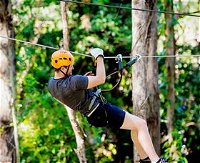 TreeTop Challenge Currumbin - Gold Coast Attractions