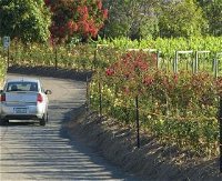 Cassegrain Wines - Attractions Perth