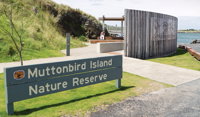 Muttonbird Island Outdoor learning space - SA Accommodation