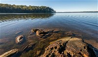 Queens Lake Nature Reserve - Accommodation Tasmania