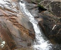 Mumbulla Creek Falls and Picnic Area - Accommodation Daintree