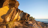 Angourie to Brooms Head - Gold Coast Attractions