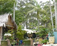 Diamond Waters Garden Nursery - Accommodation Cooktown