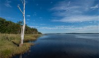 Lake Innes Nature Reserve - Accommodation in Brisbane