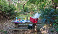 Broadwater Beach picnic area - QLD Tourism