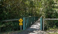 Diamond Head Loop walk - Accommodation Cooktown