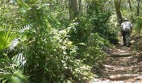 Bridle trail - Accommodation Rockhampton