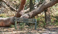 Middle Lagoon walking track - Accommodation Perth