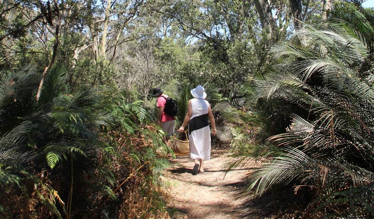 Mogareeka NSW Tourism Bookings WA