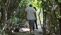 Three Sisters walking track - Accommodation Cooktown
