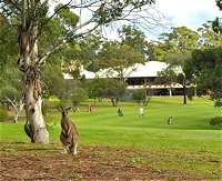Pambula Merimbula Golf Club - Accommodation Rockhampton