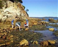 Sapphire Coast Marine Discovery Centre - Find Attractions